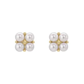 9ct Yellow Gold Floral FWP 4 Cluster Stud Earrings