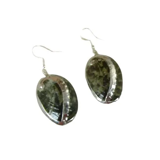 Abalone Sea Shell Drop Earrings