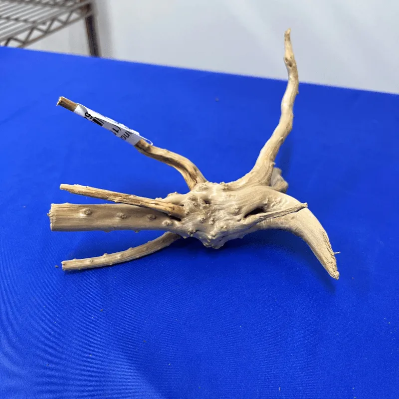 ANS Branchy Driftwood  S (15-25cm)