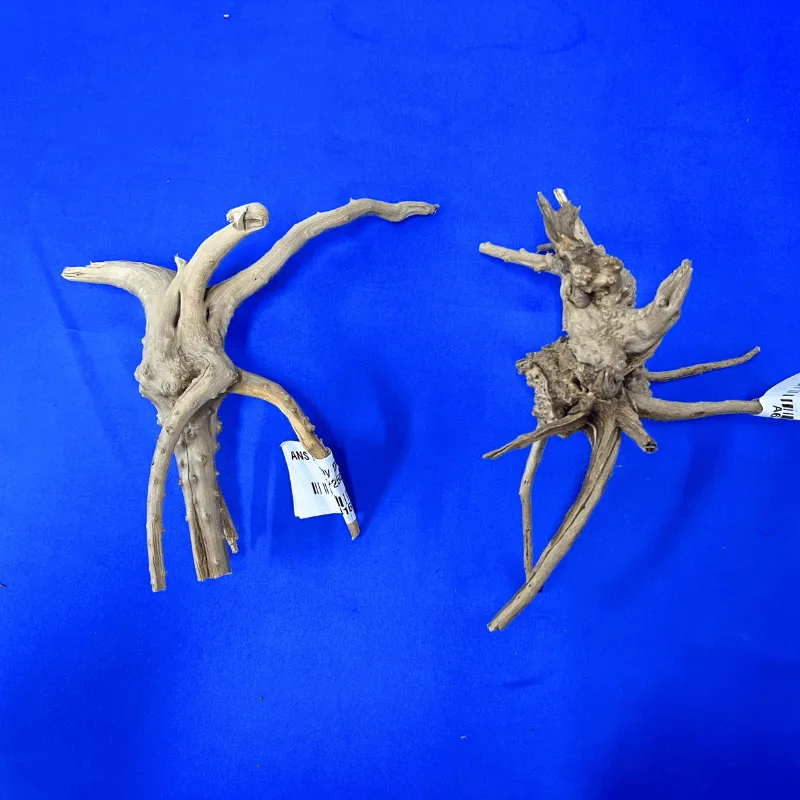 ANS Branchy Driftwood  S (15-25cm)