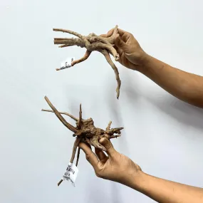 ANS Branchy Driftwood  S (15-25cm)