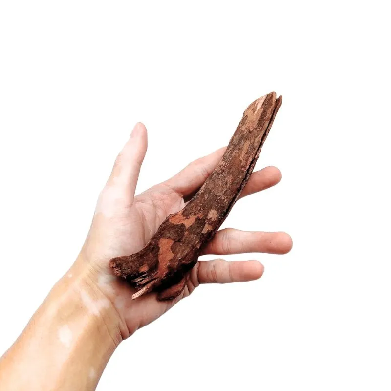 ANS Old Black Driftwood XS - ExtraSmall (NO LABEL) (5-10cm)