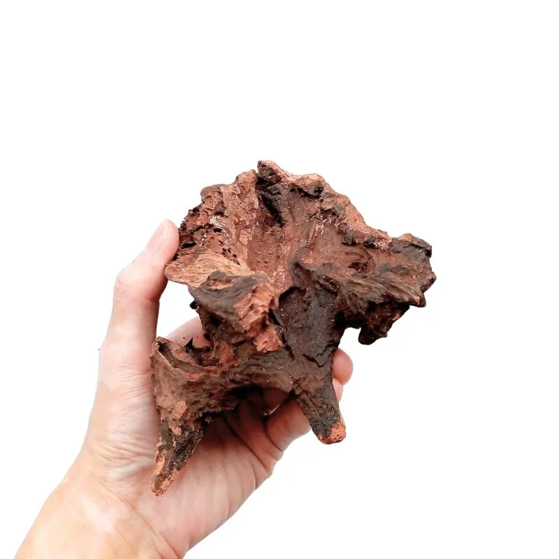 ANS Old Black Driftwood XS - ExtraSmall (NO LABEL) (5-10cm)