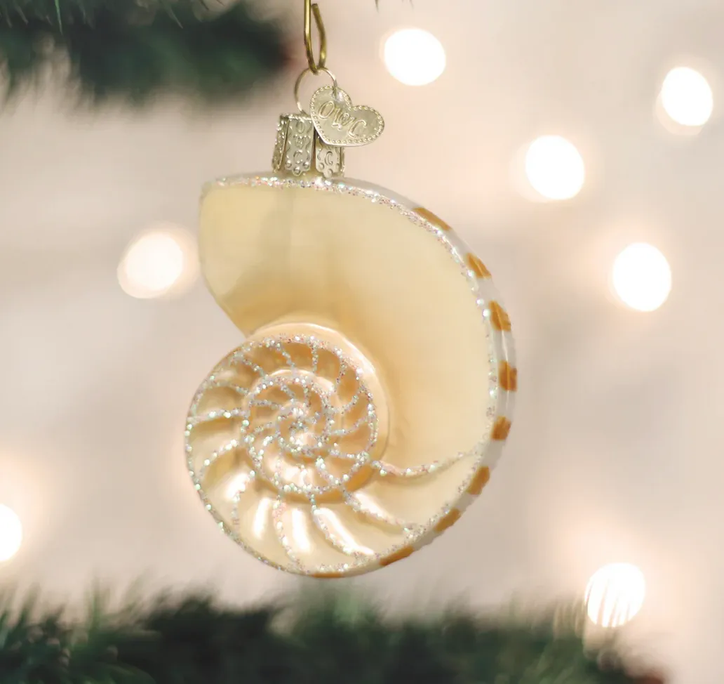 Nautilus Shell Ornament