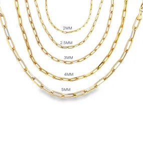 Paper Clip Chain Anklet (E162-E166)