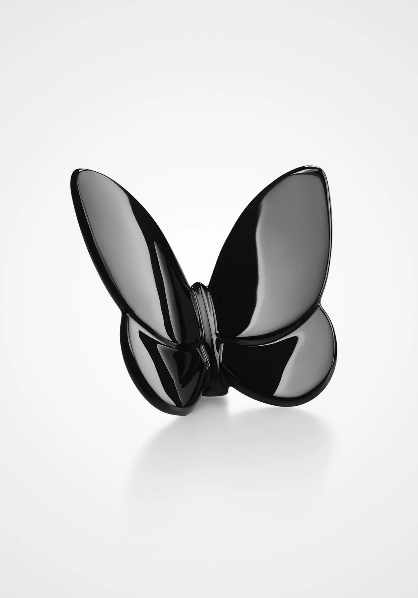 Papillon Lucky Butterfly