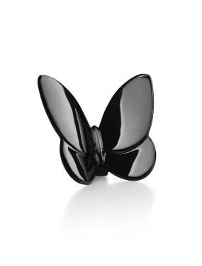 Papillon Lucky Butterfly