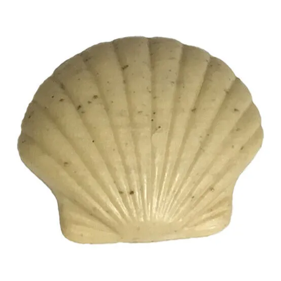 Soap Shell Driftwood