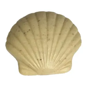 Soap Shell Driftwood